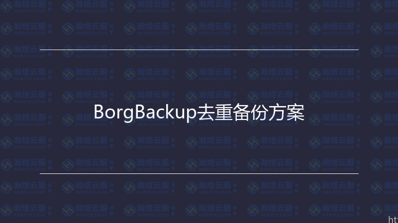 BorgBackup去重备份方案-瀚煜云服
