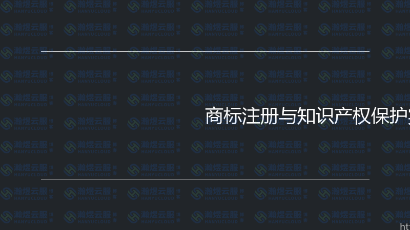 商标注册与知识产权保护实战指南-瀚煜云服