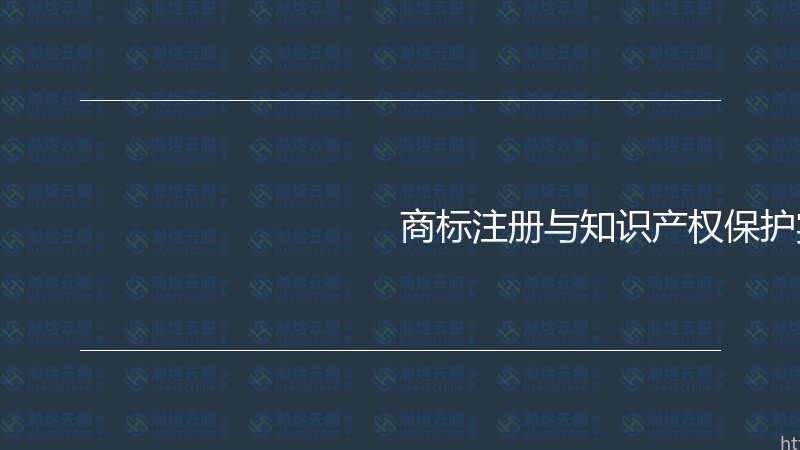 商标注册与知识产权保护实战指南-瀚煜云服