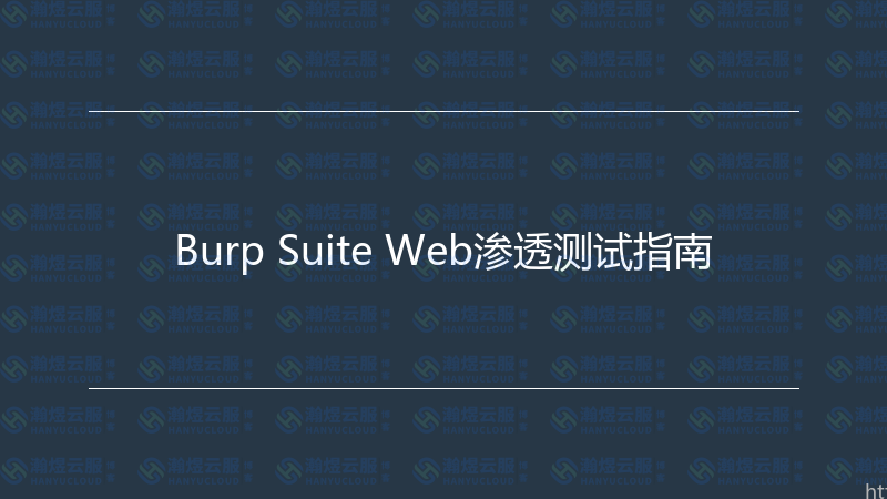 Burp Suite Web渗透测试指南-瀚煜云服