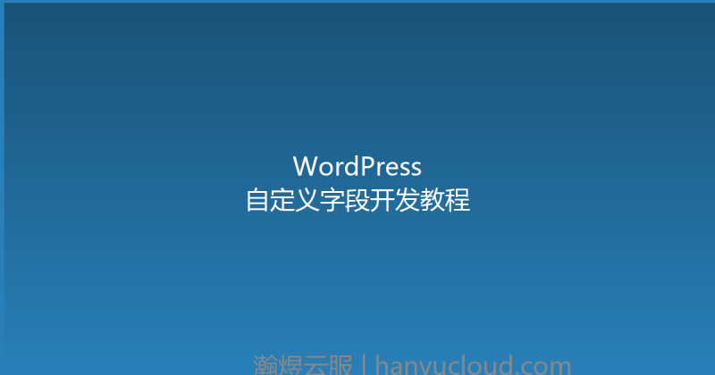 WordPress自定义字段开发教程-瀚煜云服