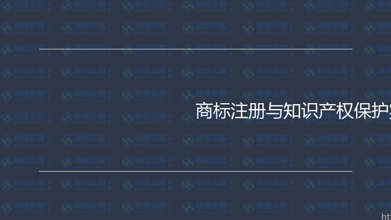 商标注册与知识产权保护实战指南-瀚煜云服