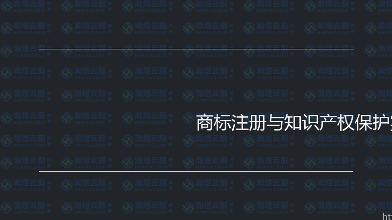 商标注册与知识产权保护实战指南-瀚煜云服