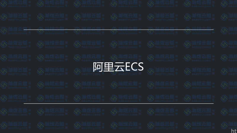 阿里云ECS-瀚煜云服