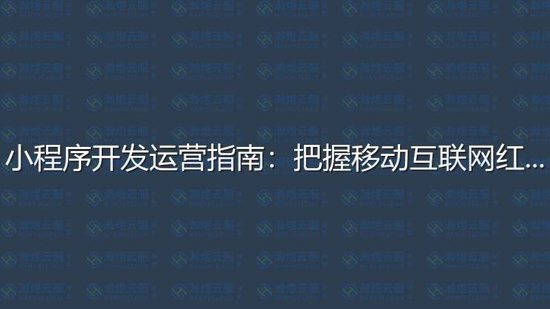 小程序开发运营指南：把握移动互联网红利-瀚煜云服