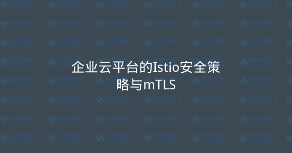 企业云平台的Istio安全策略与mTLS-瀚煜云服