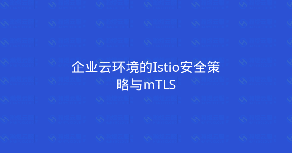企业云环境的Istio安全策略与mTLS-瀚煜云服