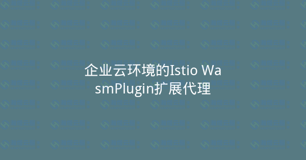 企业云环境的Istio WasmPlugin扩展代理-瀚煜云服