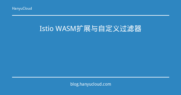 Istio WASM扩展与自定义过滤器-瀚煜云服