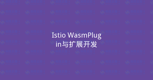 Istio WasmPlugin与扩展开发-瀚煜云服