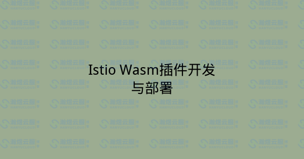 Istio Wasm插件开发与部署-瀚煜云服