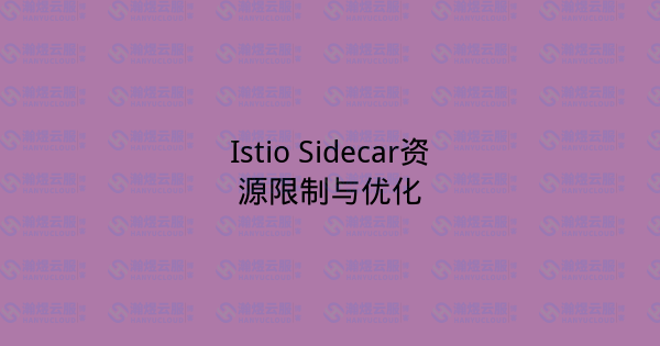 Istio Sidecar资源限制与优化-瀚煜云服
