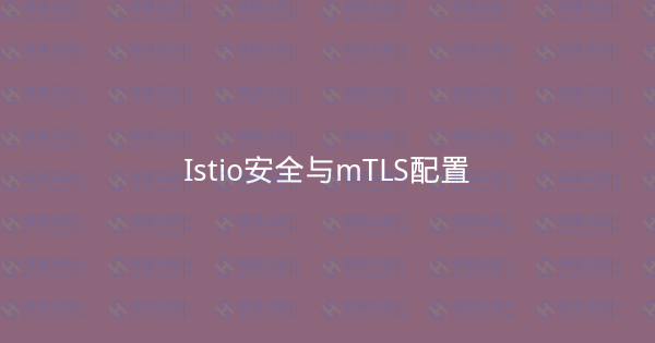 Istio安全与mTLS配置-瀚煜云服