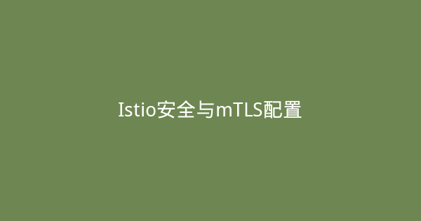 Istio安全与mTLS配置-瀚煜云服