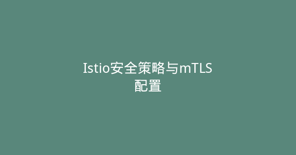 Istio安全策略与mTLS配置-瀚煜云服